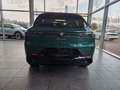 Alfa Romeo Tonale Sprint/Sofort verfügbar Vert - thumbnail 5