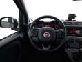 Fiat Panda Hybrid City Life 1.0 Mild Hybrid 70CV Szary - thumbnail 11
