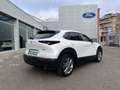 Mazda CX-30 2.0 Skyactiv-G Evolution 2WD Aut. 90kW Blanco - thumbnail 9