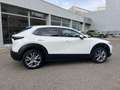Mazda CX-30 2.0 Skyactiv-G Evolution 2WD Aut. 90kW Blanco - thumbnail 4