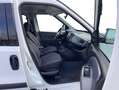 Fiat Doblo JETZT-SOFORT-KREDIT*1JAHR-GARANTIE*MOD2014 Weiß - thumbnail 14