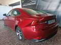 Lexus IS 300 300h ECO Red - thumbnail 6