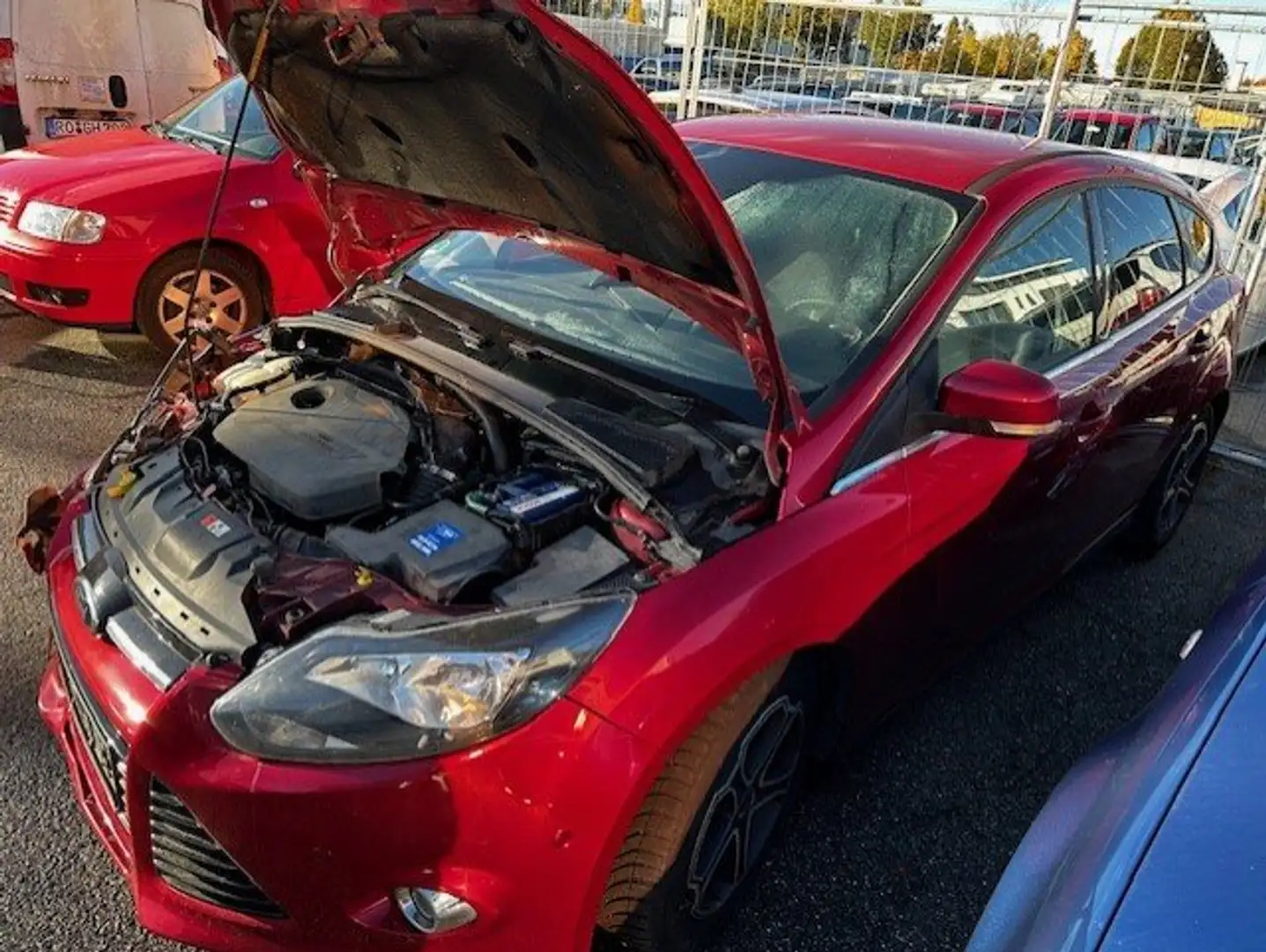 Ford Focus Titanium Rosso - 2