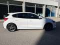 Ford Focus 1.0 Ecoboost ST-Line 125 Weiß - thumbnail 4