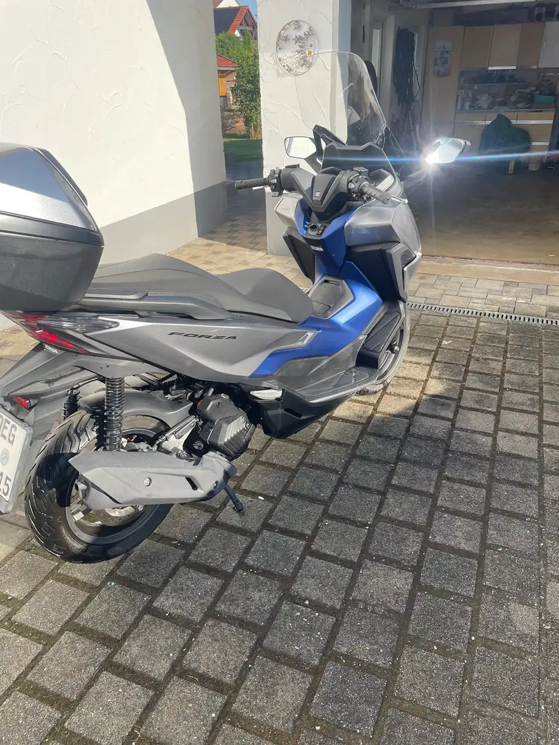Honda Forza 125 Bleu - 2