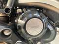 Ducati Scrambler ICON 800 2023 Giallo - thumbnail 3