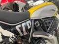 Ducati Scrambler ICON 800 2023 Jaune - thumbnail 4
