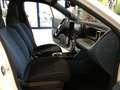Fiat Grande Panda 1.2 Hybrid 110 CV S&S Icon PROMO LUGLIO Bianco - thumbnail 12