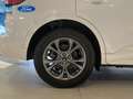 Ford Kuga 2.5 Duratec PHEV ST-Line 4x2 Blanco - thumbnail 15