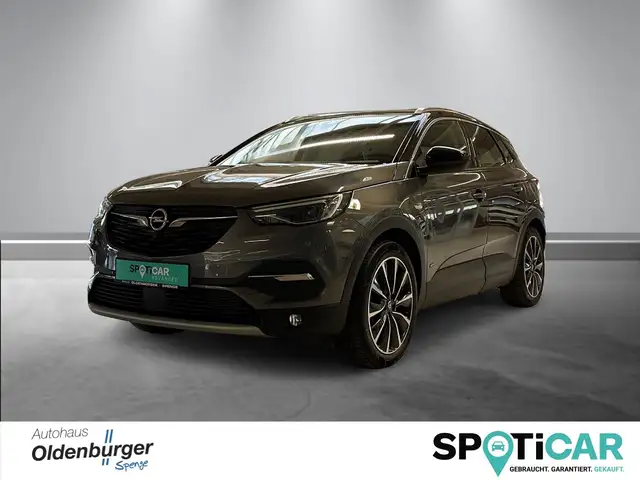 Opel Grandland Ultimate Plug-In Hybrid 300PS Allrad, Kamera
