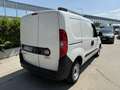 Fiat Doblo CARGO BUSINESS PLUS 1.6 MJ 105CV E6D Bianco - thumbnail 3