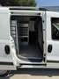 Fiat Doblo CARGO BUSINESS PLUS 1.6 MJ 105CV E6D Bianco - thumbnail 11