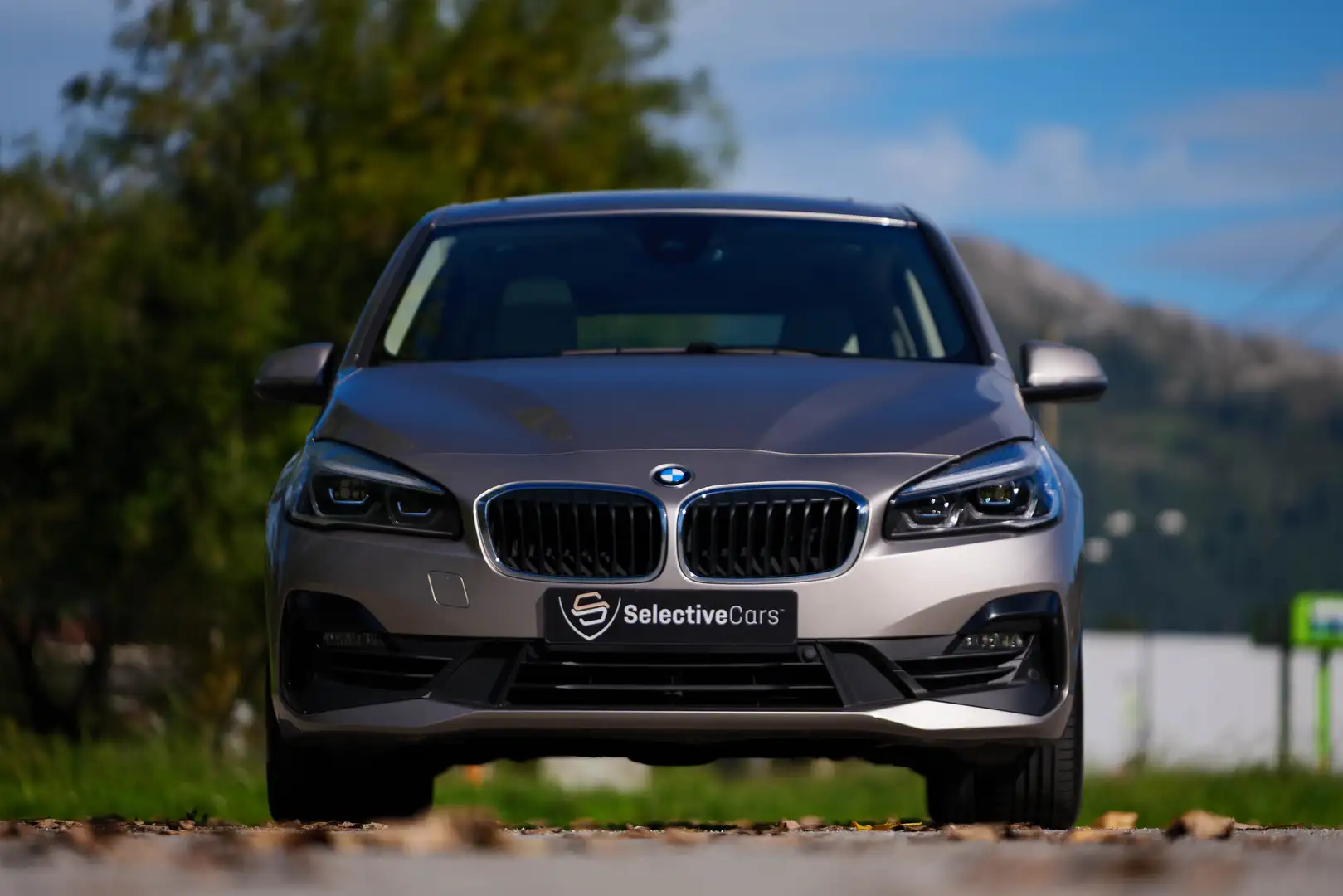 BMW 216 216d Gran Tourer Business Beige - 2