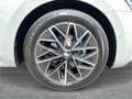 Skoda Octavia Sportline TSI mHEV DSG Grau - thumbnail 8