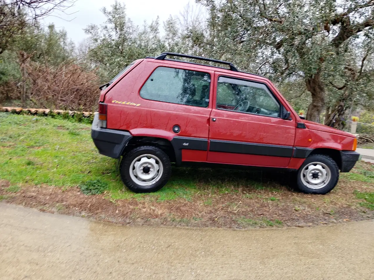 Fiat Panda 1.1 Trekking 4x4, foto 6
