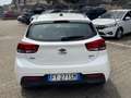 Kia Rio 5 Porte 1.2 MPi 82cv Evolution 2WD Blanc - thumbnail 4
