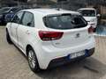 Kia Rio 5 Porte 1.2 MPi 82cv Evolution 2WD Blanc - thumbnail 5