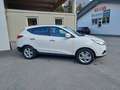 Hyundai iX35 2,0 CRDi Premium 4WD Weiß - thumbnail 4