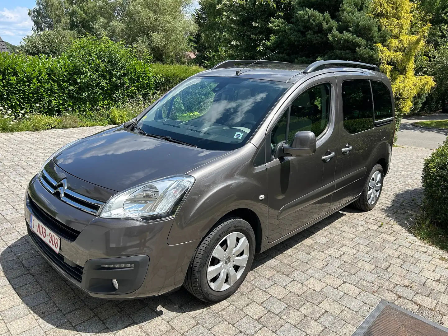 Citroen Berlingo 1.9 D X Gris - 2