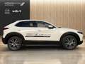 Mazda CX-30 e-Skyactive G140 Exclusive-Line Aut. Weiß - thumbnail 4