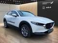 Mazda CX-30 e-Skyactive G140 Exclusive-Line Aut. Weiß - thumbnail 3