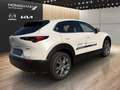 Mazda CX-30 e-Skyactive G140 Exclusive-Line Aut. Weiß - thumbnail 5
