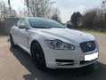 Jaguar XF XF+3.0+V6+Diesel+Edition Alb - thumbnail 2