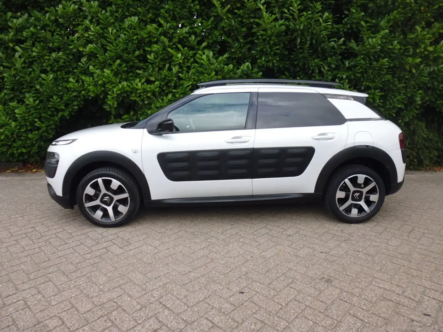 Citroen C4 Cactus 1.2 Pure Tech Shine CRUISE NAVI CAMERA PDC ECC Blanc - 2