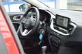 Kia Ceed / cee'd CEED 1.5 T-GDi 140 PS SHZ KAMERA NAVI PRIVACY Rouge - thumbnail 19