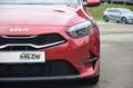 Kia Ceed / cee'd CEED 1.5 T-GDi 140 PS SHZ KAMERA NAVI PRIVACY Rouge - thumbnail 23