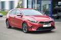 Kia Ceed / cee'd CEED 1.5 T-GDi 140 PS SHZ KAMERA NAVI PRIVACY Rouge - thumbnail 20