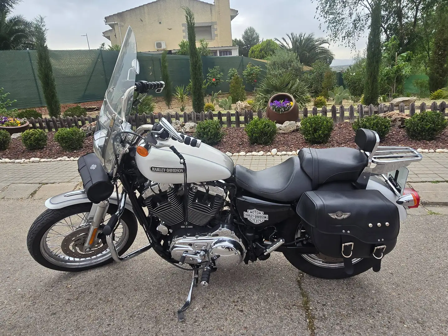 Harley-Davidson XL 1200 LOW Blanco - 1