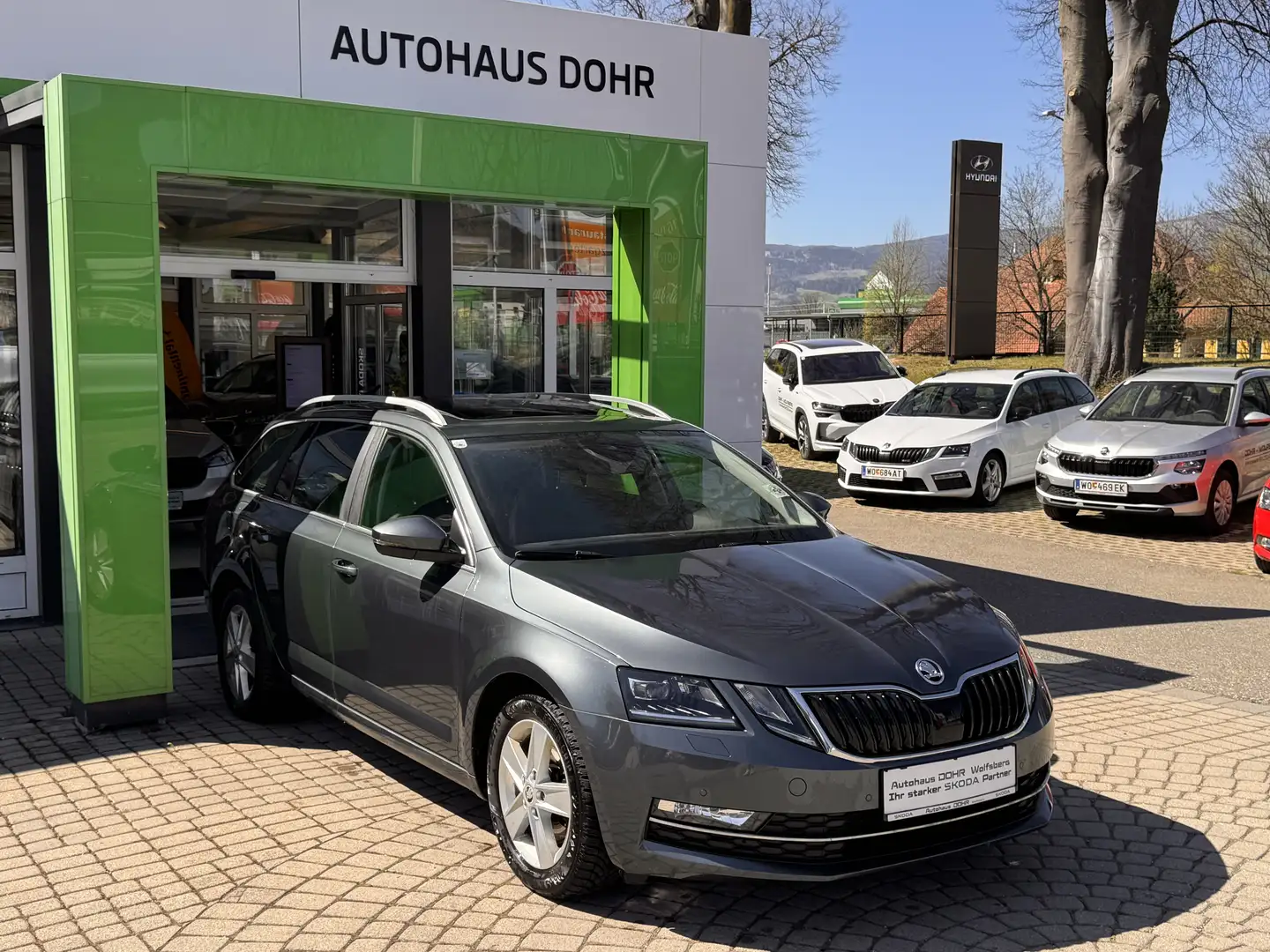 Skoda Octavia Style TDI DSG 4x4 Grau - 1