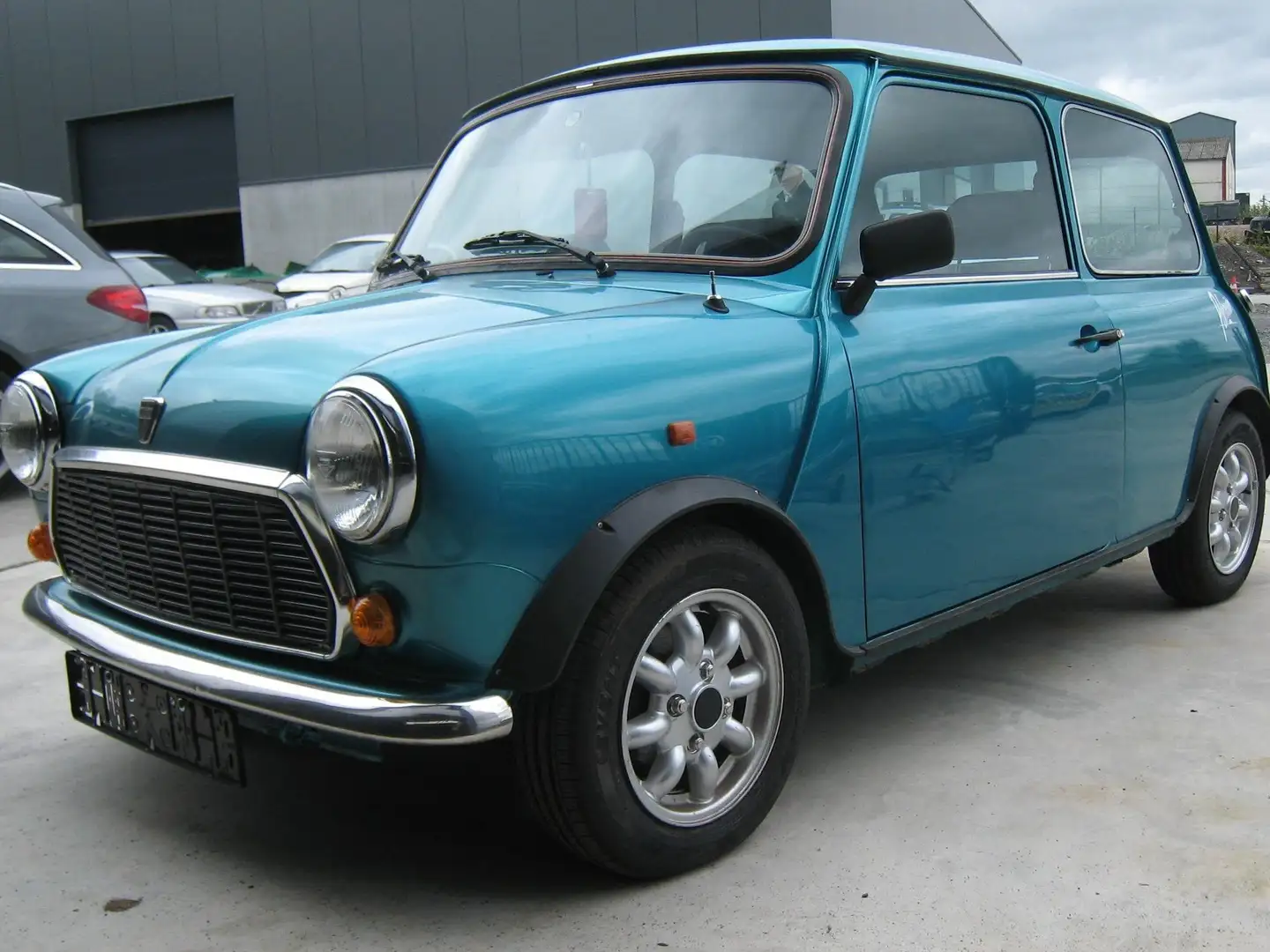 MINI 1300 POLYNESIAN Зелений - 1