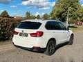 BMW X5 F15 xDrive 40d HuD R.Kam Blanc - thumbnail 4