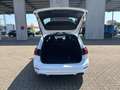Ford Focus ST Winterpaket + Klima + LED Weiß - thumbnail 21