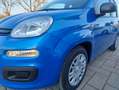 Fiat New Panda Pandina 1.0 hybrid icon  KM0 NO OBBL FINANZIAMENTO Azul - thumbnail 15