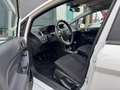 Ford Fiesta 1.0 EcoBoost Hot Hatch Sportpakket Wit - thumbnail 11