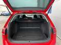 Volkswagen Golf Variant Alltrack 2.0 TDI Aut. 4Motion AHK BI-XENON STANDH Rot - thumbnail 10