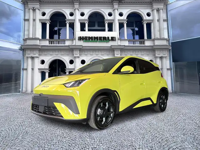 BYD Dolphin Surf