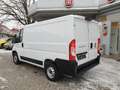 Fiat Ducato 120 L1H1 RS: 3000 mm Weiß - thumbnail 8