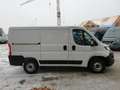 Fiat Ducato 120 L1H1 RS: 3000 mm Weiß - thumbnail 9