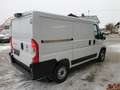 Fiat Ducato 120 L1H1 RS: 3000 mm Weiß - thumbnail 12