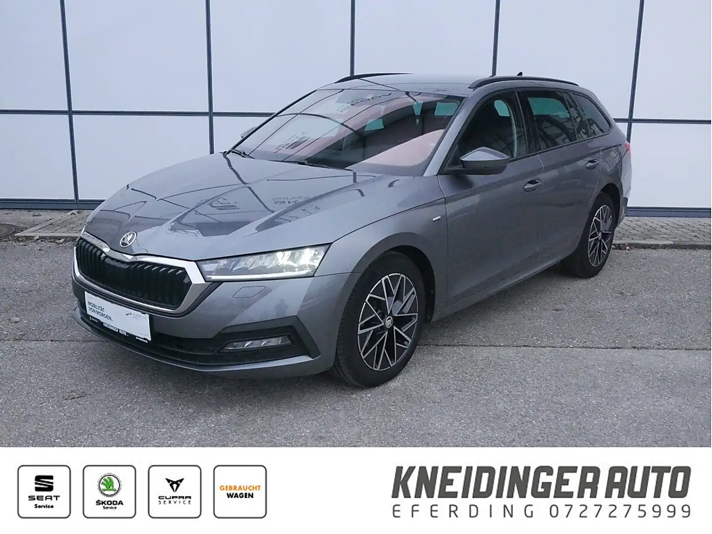 Skoda Octavia Combi 2,0 TDI Ambition DSG, Massagesitze, Tempo... Grau - 1