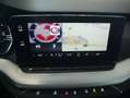Skoda Octavia Combi 2,0 TDI Ambition DSG, Massagesitze, Tempo... Grau - thumbnail 24