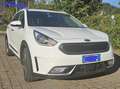 Kia Niro Niro I 2017 1.6 gdi hev Style Adas Pack dct Biały - thumbnail 8