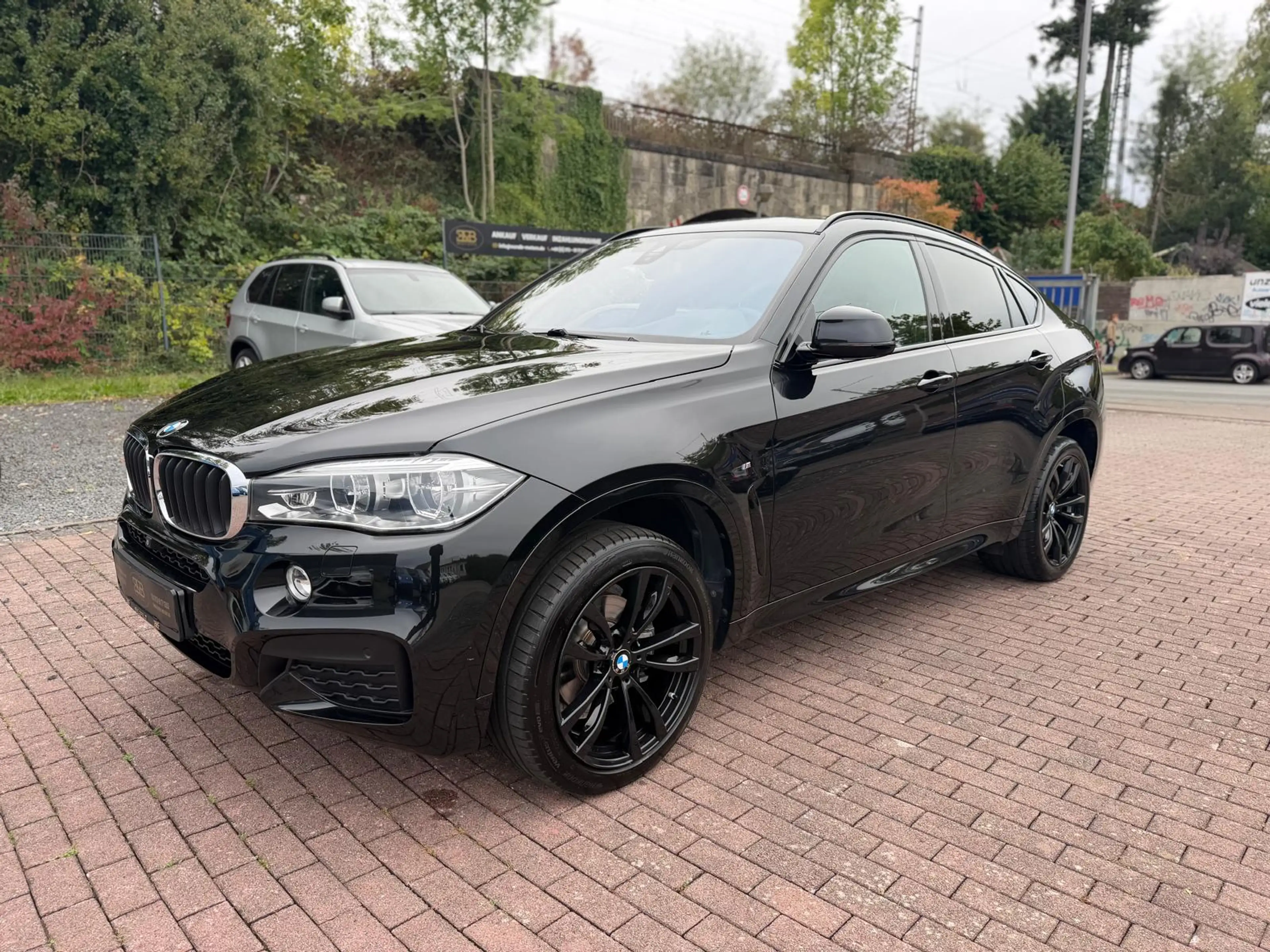 BMW X6 xDrive 30 d M-Paket/H&K/Head-up/AHK — photo 2