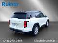 KGM Torres EVX Premium  Reichweite  WLTP 462km Blanc - thumbnail 5