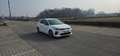 Kia Rio 1.0 t-gdi mhev GT Line 100cv imt Bianco - thumbnail 8