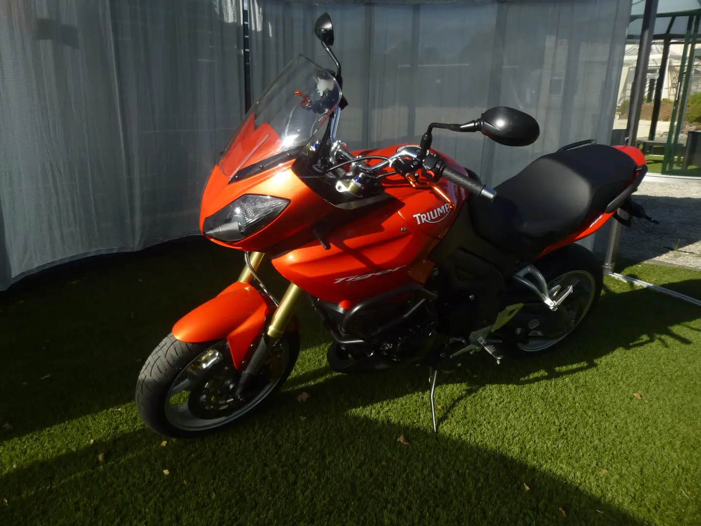 Triumph Tiger 1050 Tiger 1050 - 2